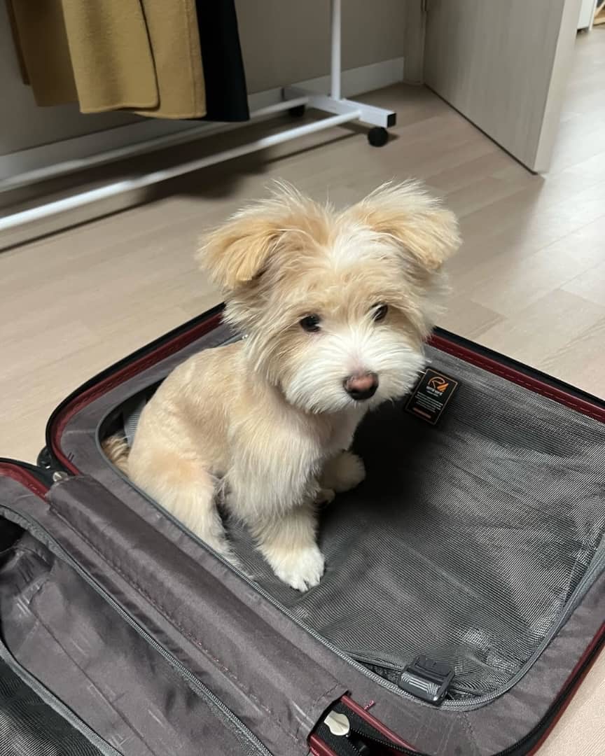 Gallery image 2 of Max