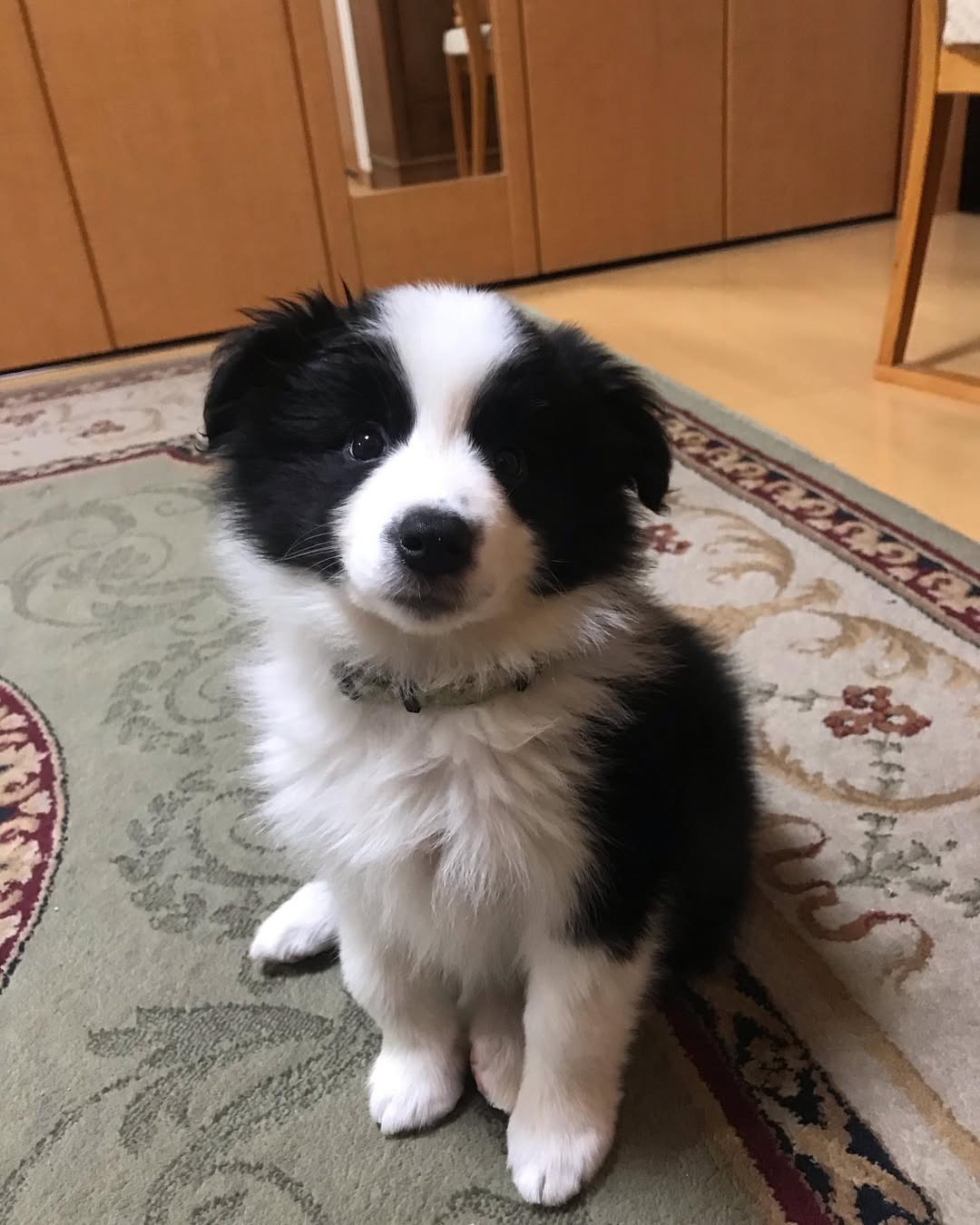 Gallery image 2 of Lindsay