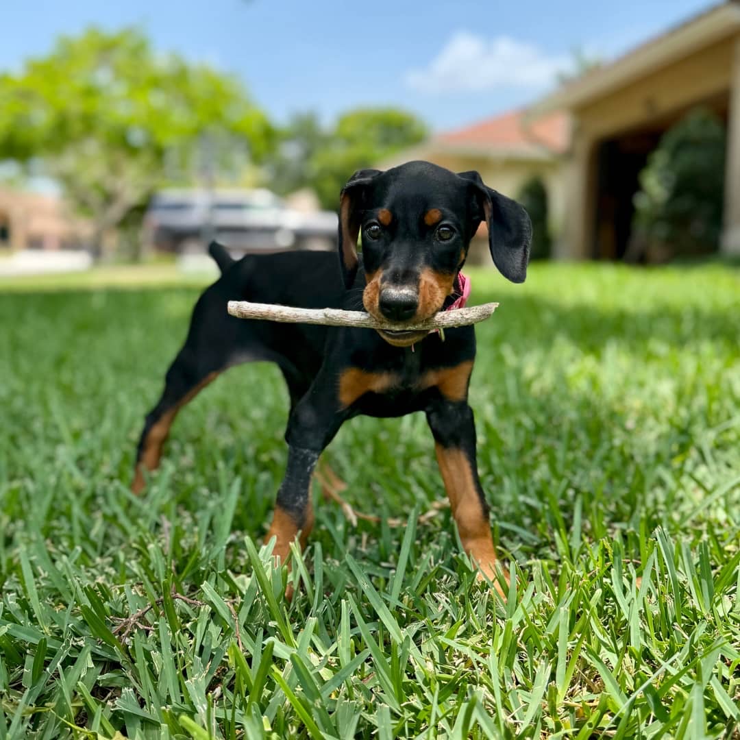 Gallery image 6 of Lloyd