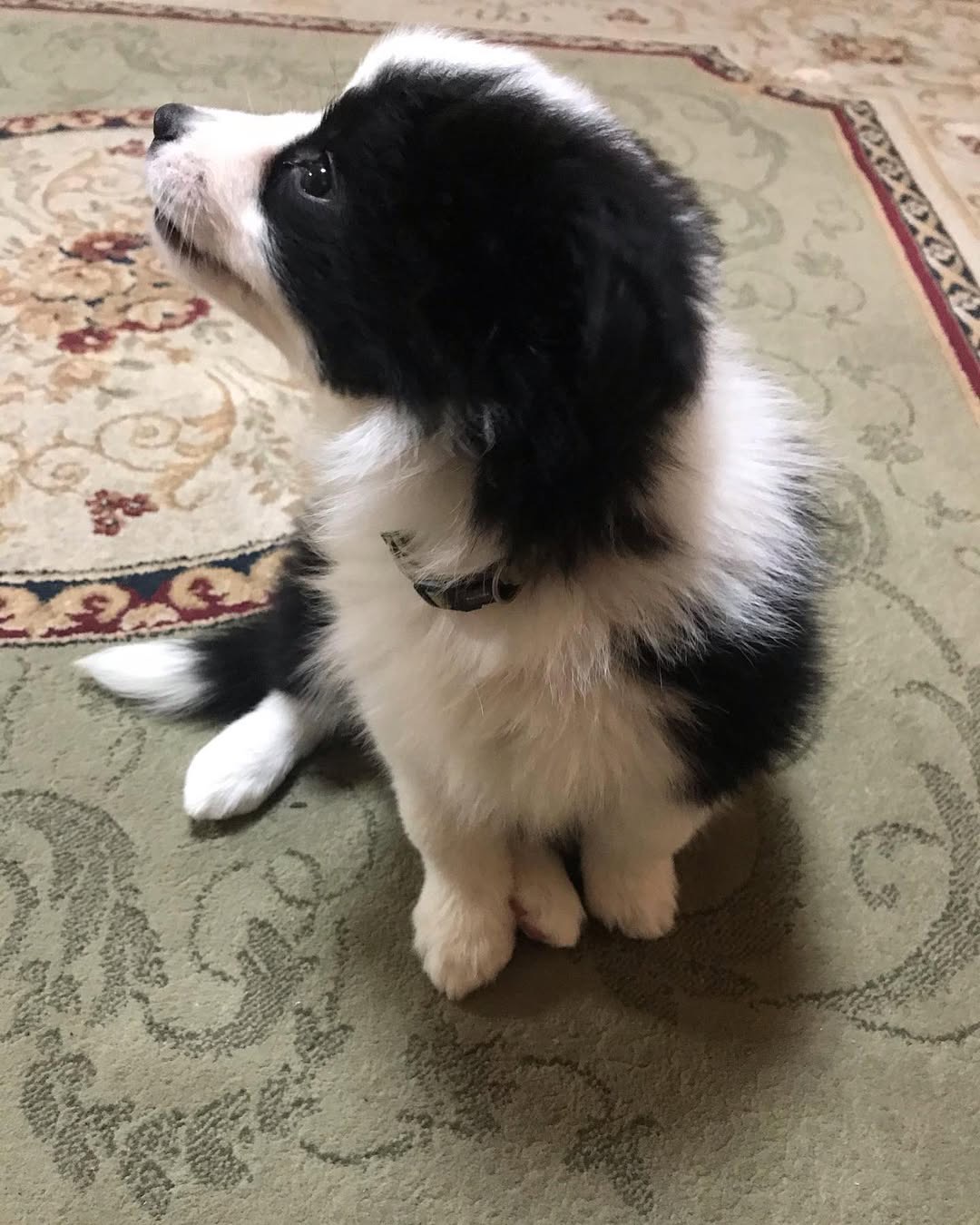 Gallery image 3 of Lindsay