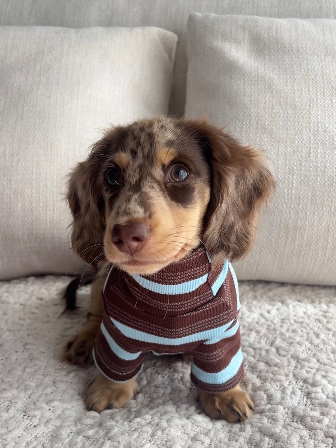 Gallery image 1 of Luna