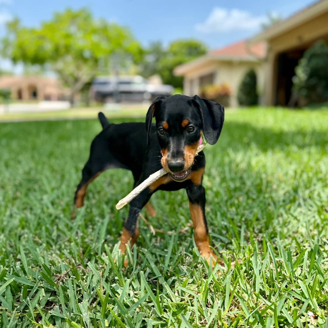 Gallery image 3 of Lloyd