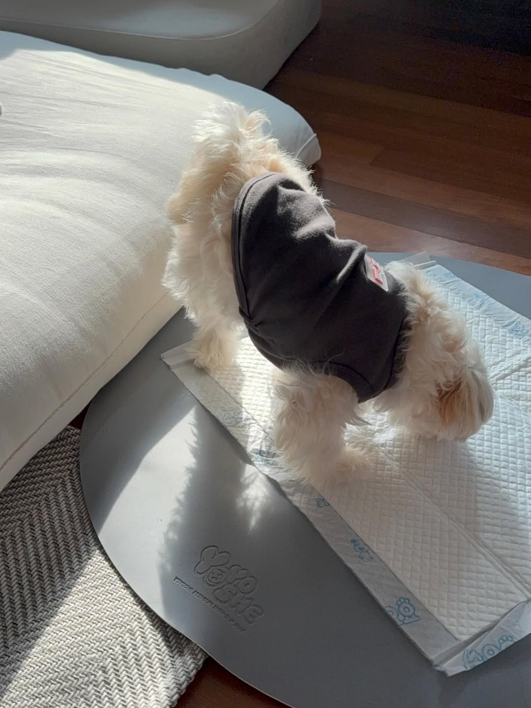 Gallery image 3 of Luna